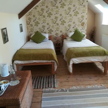 Y Garreg Wen Bed & Breakfast Llanybyther Екстериор снимка
