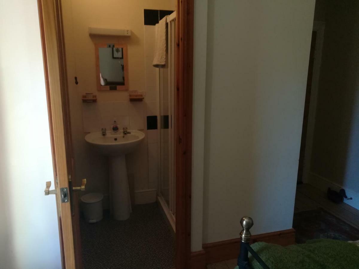 Y Garreg Wen Bed & Breakfast Llanybyther Екстериор снимка