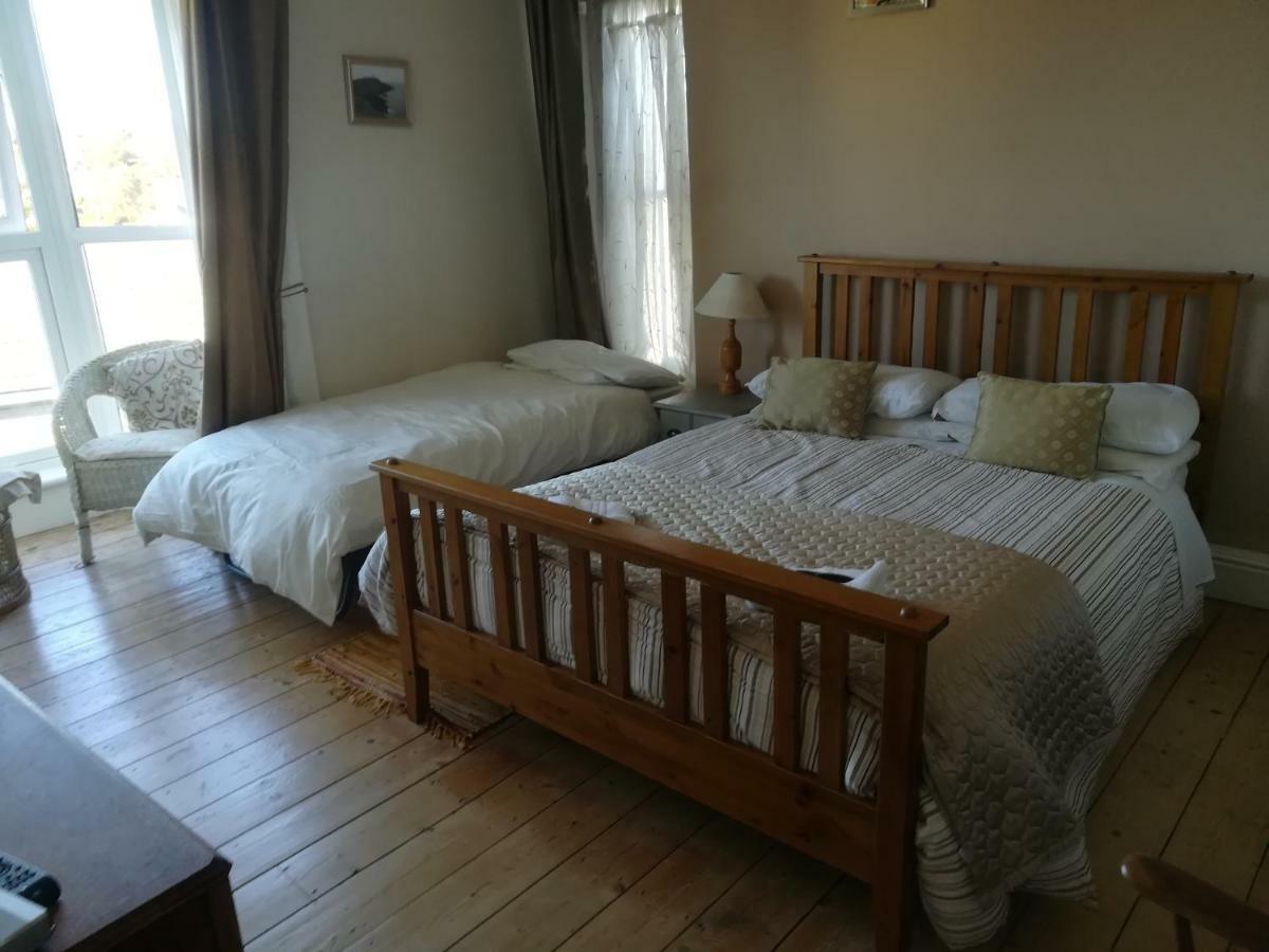 Y Garreg Wen Bed & Breakfast Llanybyther Екстериор снимка