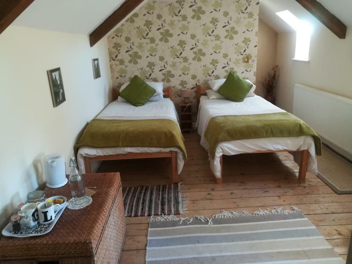Y Garreg Wen Bed & Breakfast Llanybyther Екстериор снимка