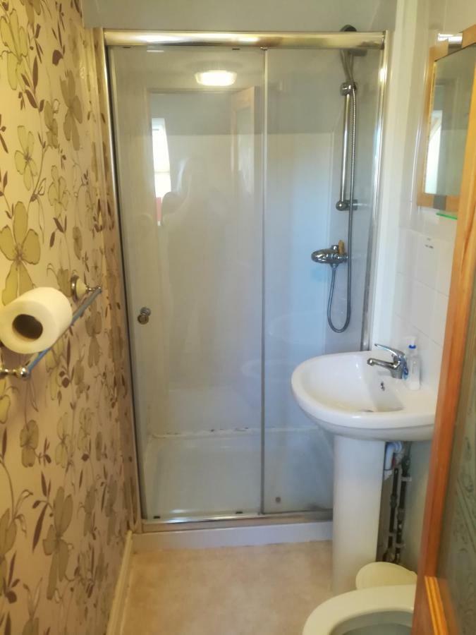 Y Garreg Wen Bed & Breakfast Llanybyther Екстериор снимка